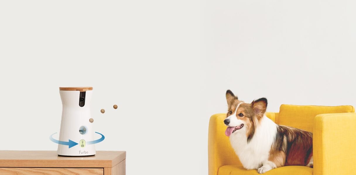 Furbo 360 dog camera with a dog on the couch