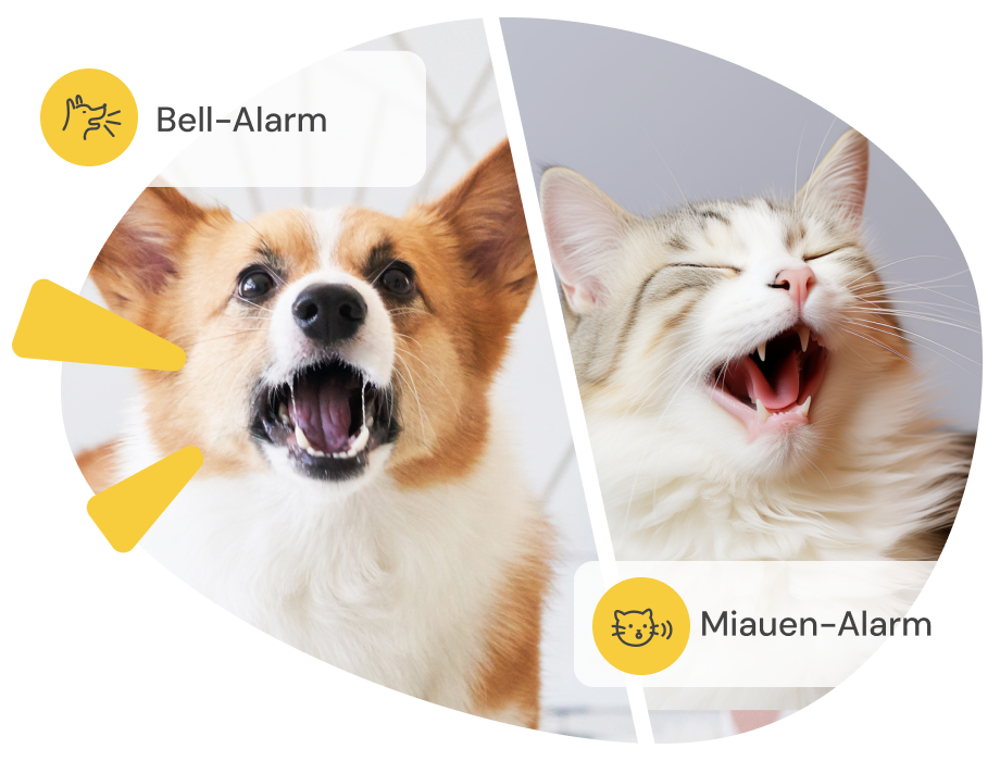 Geteilter Bildschirm: bellender Corgi mit Bellalarm, miauende Katze mit Miau-Alarm.