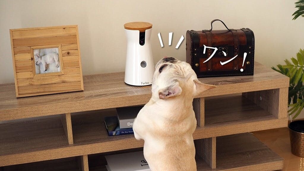 「お腹が空いてきたなぁ。
　ママといるときは、
　すぐおやつがもらえるのに…。
　吠えちゃうぞ。
　ウ～ワンッ、ワン！」