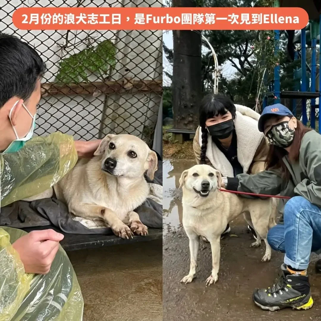 浪浪初次見面