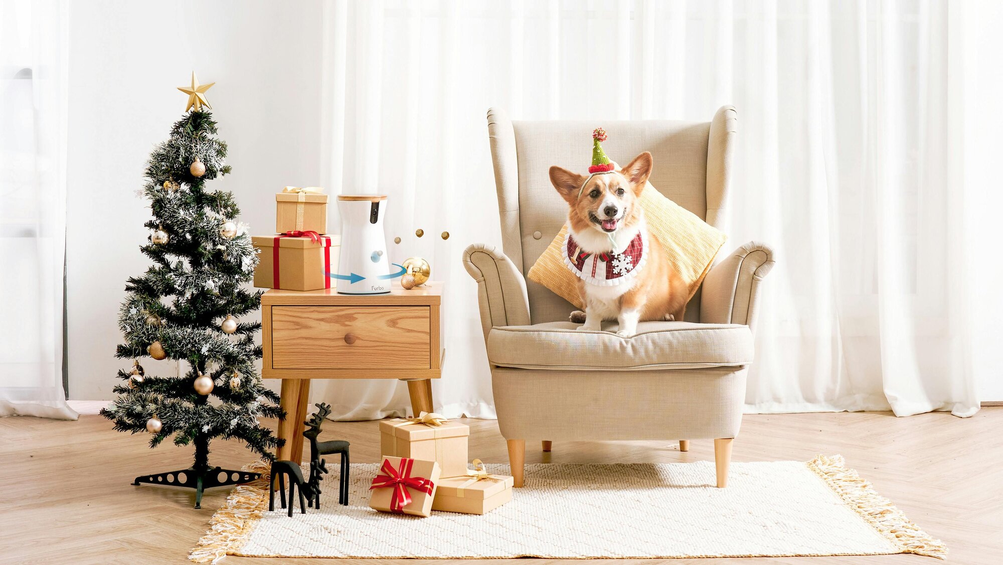 什麼？這些聖誕小物居然會傷害毛孩！