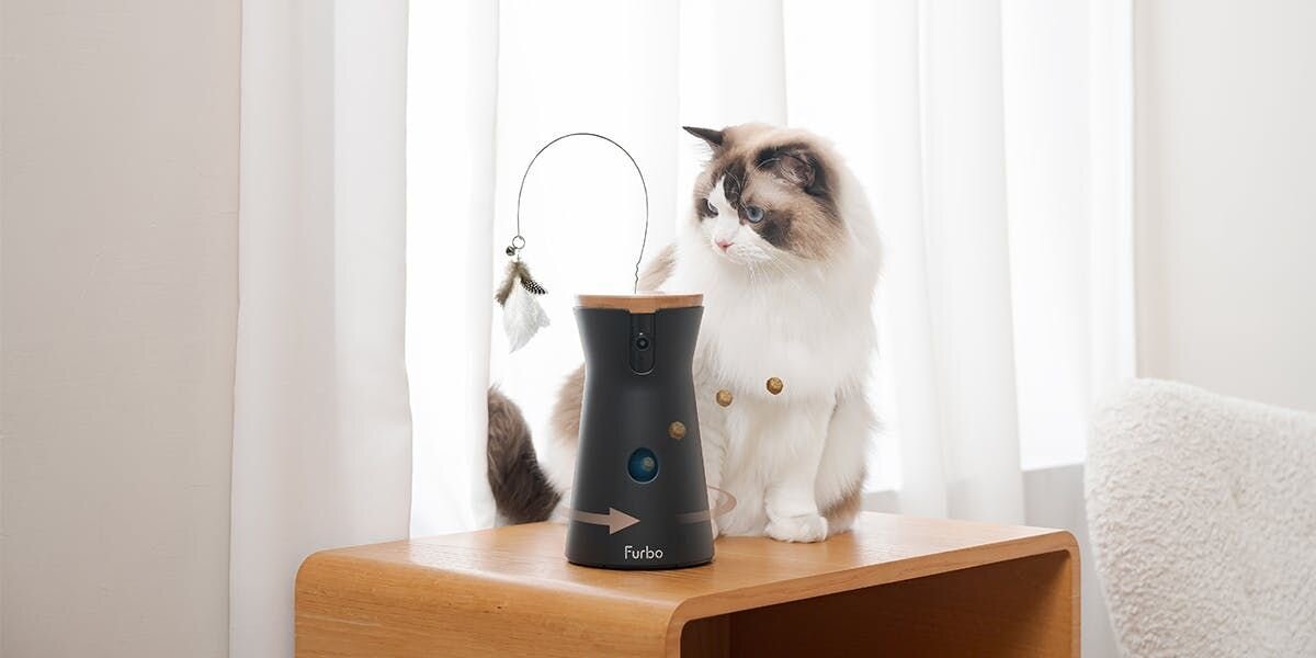 Brown and white cat sitting next to the Furbo 360 Cat Camera