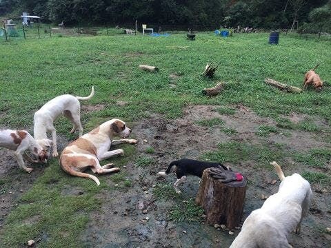 まずはじめに、実際にお伺いさせていただいて見たもの、感じたものを共有させて頂ければと思います。