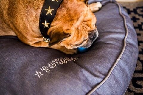 パパさん「クーラー（室内温度）は結構心配ですね。今年は特に暑かったから。停電になっちゃったらどうしようとか思います。夏は常に付けっ放しですね。」