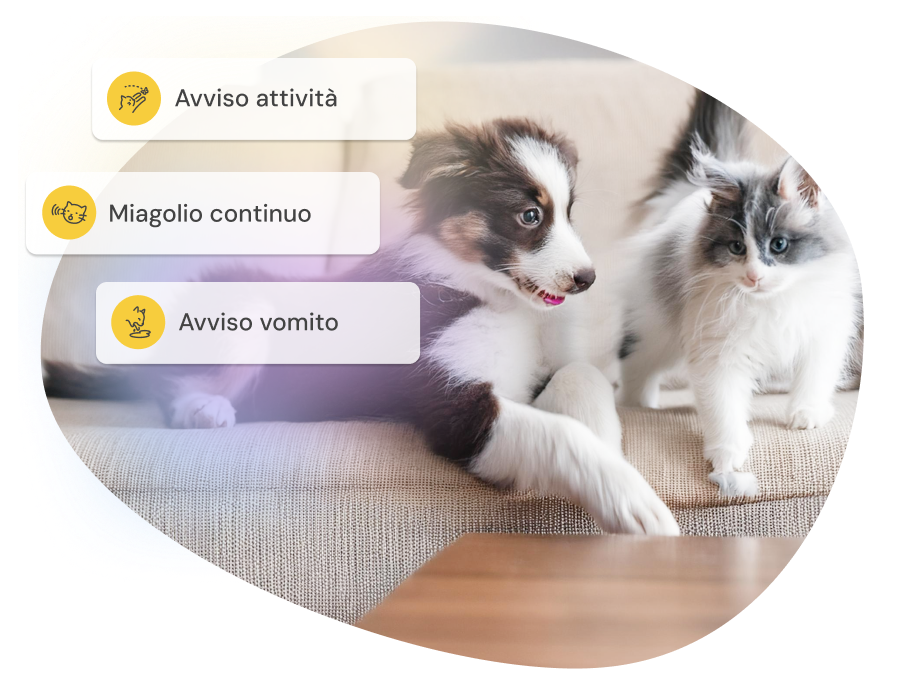 Three smart alert notifications appear over a dog and a cat, highlighting activity and behavior detection.