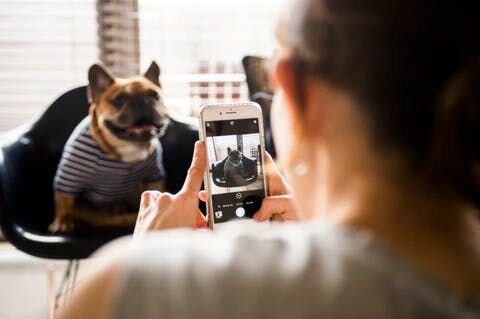 ママさん「ちょっとでも綺麗に残したいなとは思っています。昔はもっと、一枚のポストカードみたいになるように気にかけて写真を撮っていたんですけど、インテリアを含めたりして。でも今はあまり気にかけていないんです、実は。今は逆に、普段のトーラスのありのままの感じが多いですね。」