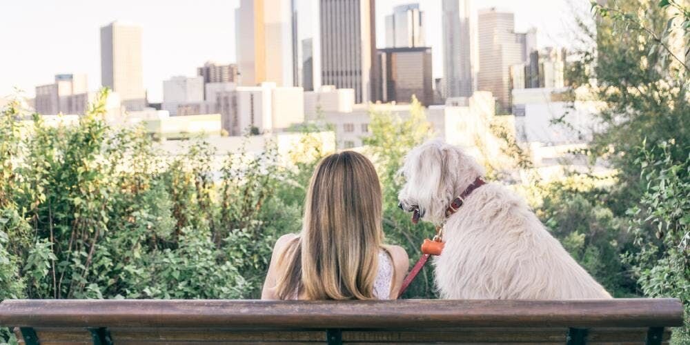 Going on Vacation? Here are Some Tips for Leaving Your Dog for the First Time