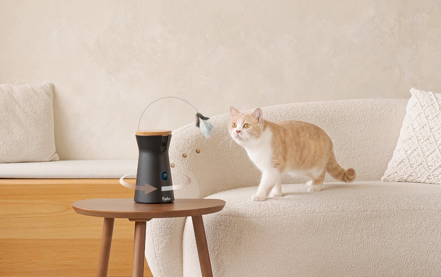 When Furbo found out that cat owners had been using Furbo Dog Camera to keep an eye on their cats, the company responded by collecting feedback, co...