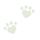 Flash Day Dog Paw Icon