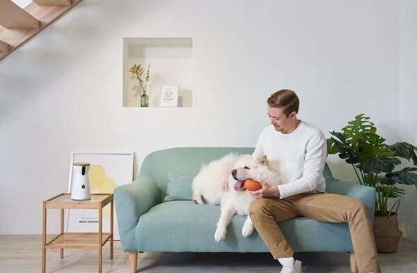 Get a cozy place for your dog to sleep. If your pup is used to sleeping with you, keep your bedroom door open. Otherwise, have their dog bed ready ...