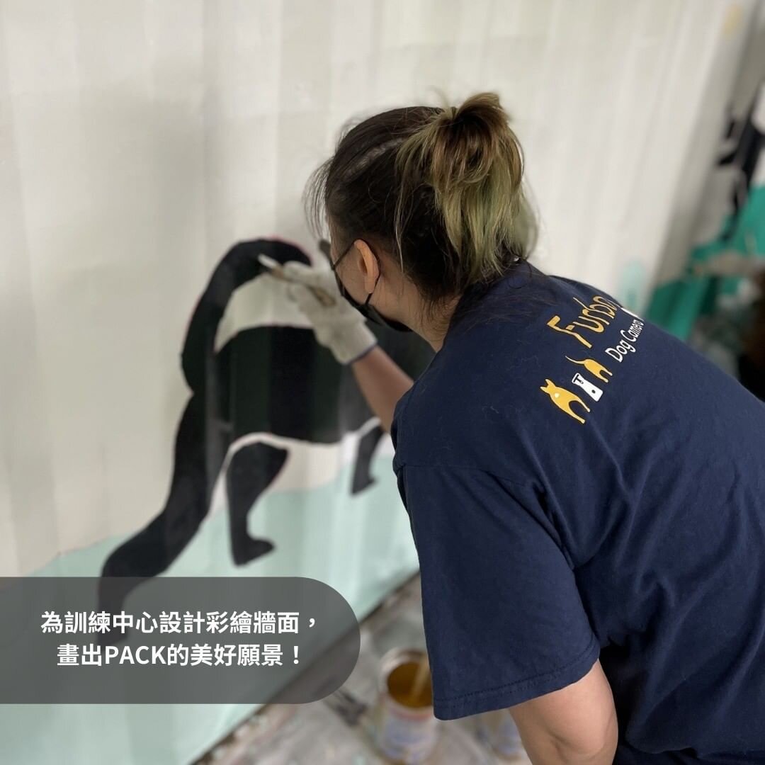 幫忙設計收容所彩繪牆