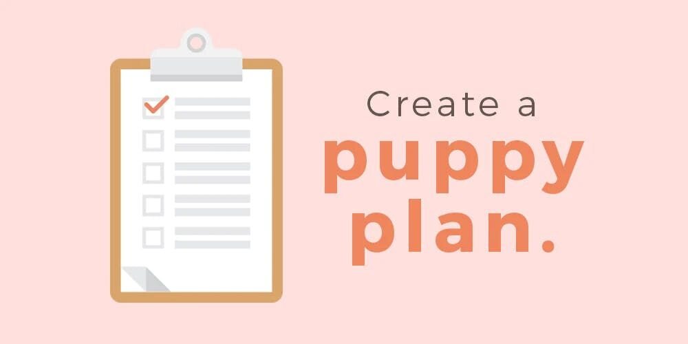 create a puppy plan