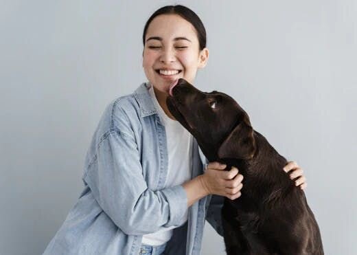 稲野辺獣医師連載Vol.9｜環境の変化に注意！愛犬との新生活で気をつけたい4つのポイント