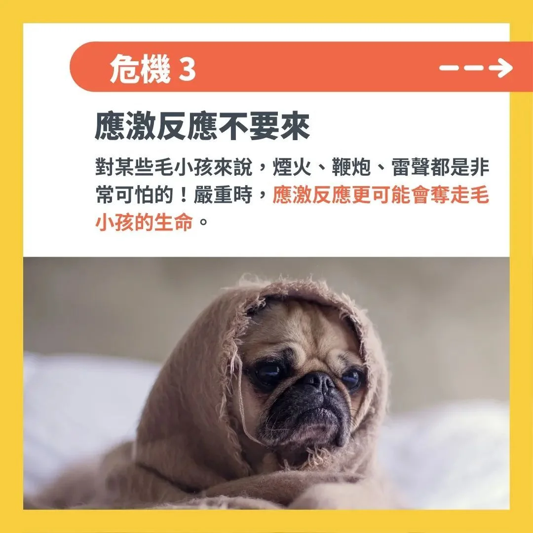 狗狗害怕音量過大