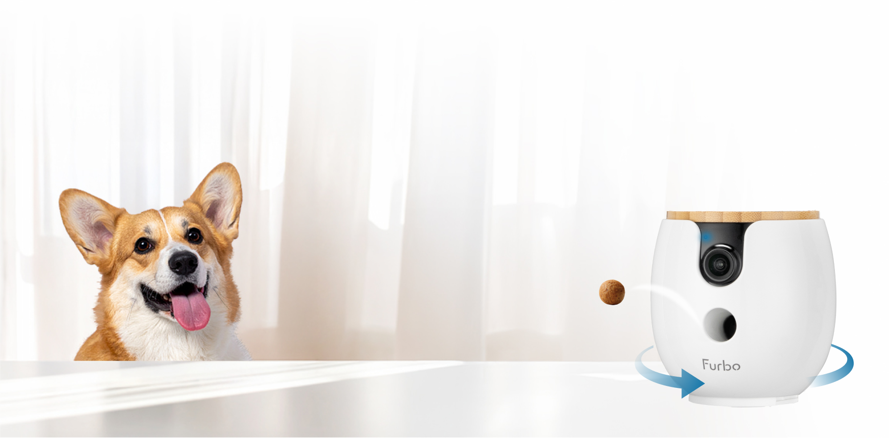 A white Furbo Mini 360° dog camera sits on a white surface, tossing a treat into the air toward a happy Corgi dog on the left.