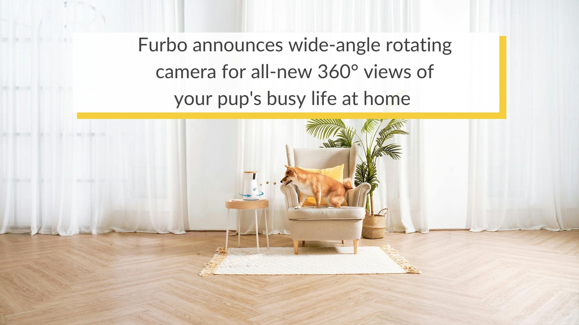 Furbo announces wide-angle rotating camera for all-new 360° views of your pup’s busy life at home