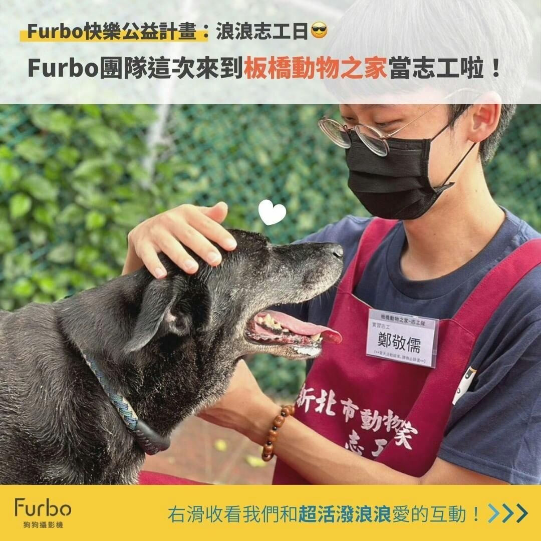前進板橋動物之家的志工回顧｜陪伴浪浪是Furbo的使命！