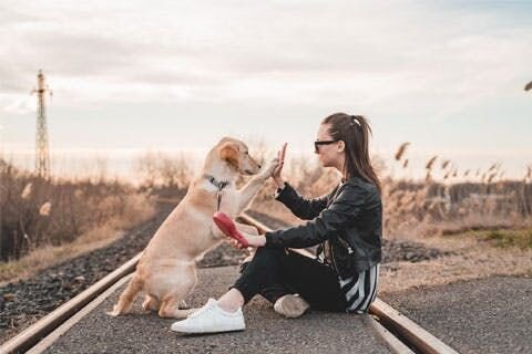 Image of a woman with a young golden labrador sitting on a railway.