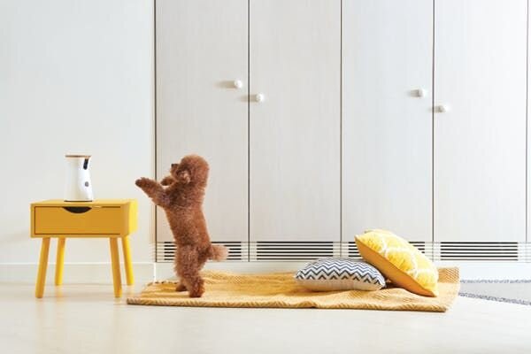Digital Trends: Remotely launch treats and spy on your pets with the Furbo treat-dispensing camera