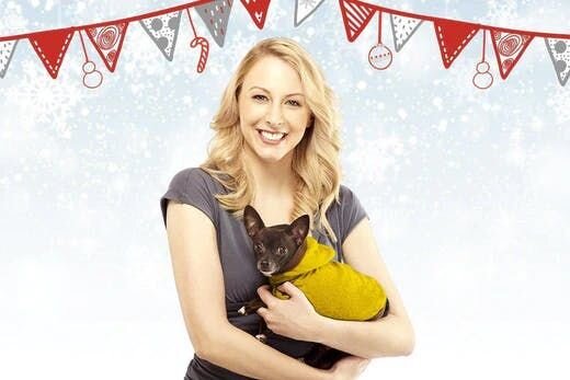 5 Ways to Keep Your Dog Occupied All Winter Long