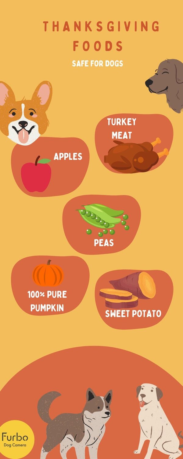 Thanksgiving Foods: Safe for Dogs