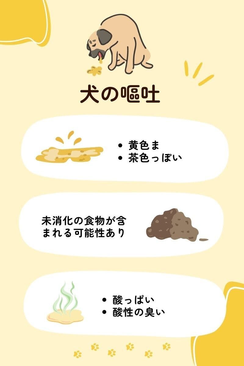 犬と猫が平和に共存する家では、犬と猫の嘔吐の違いを知る必要があります。以下の表は、犬猫どちらが嘔吐したかを特定し、次のステップを決定するのを助けます。あくまで、これらの指標は一般化されたものであり、場合によっては、猫か犬かを判断するのが難しいこともあります。その際は落ち着いて獣医師さんに相談し...