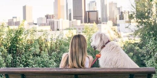 迷っていませんか？初めて愛犬を置いて旅行に出掛ける際のチェック事項