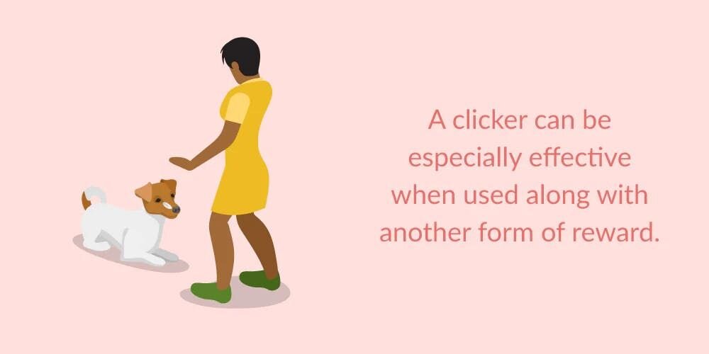 A clicker can be especially effective when used along with another form of reward