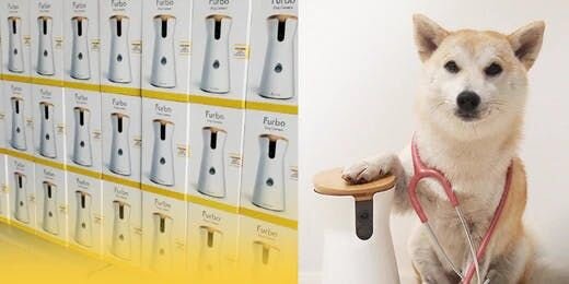 支援疫情前線的毛家長們