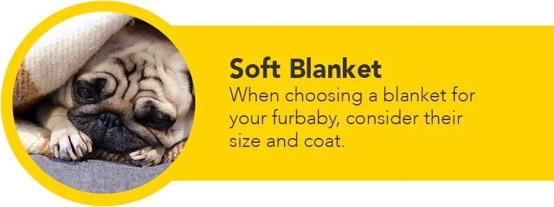 soft blanket