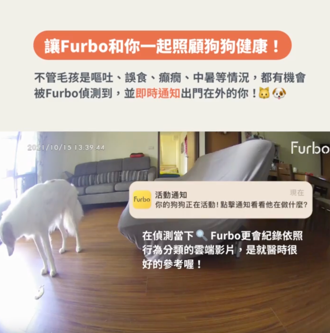 Furbo照顧狗狗健康