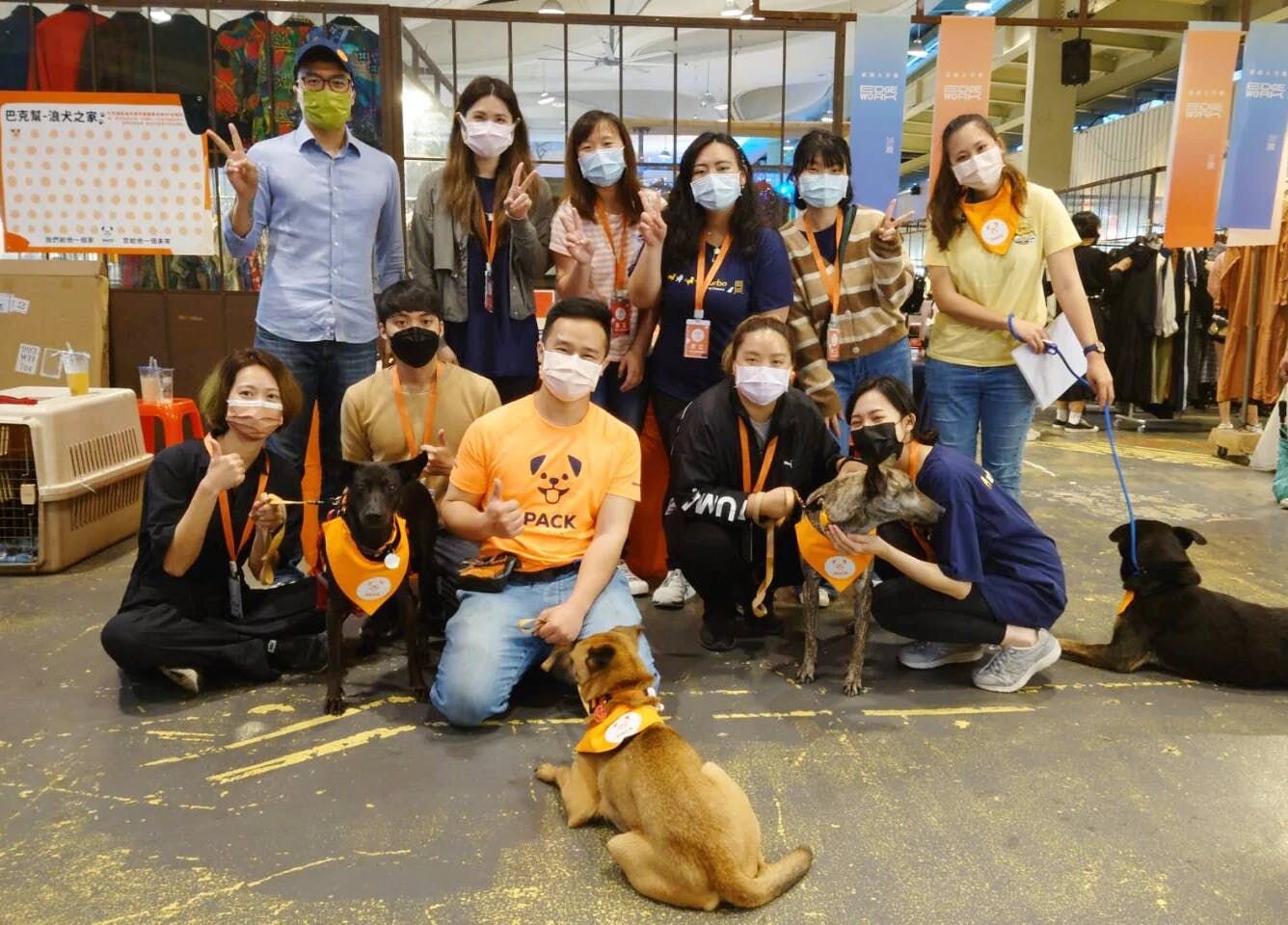 送養會的志工與狗狗們合照