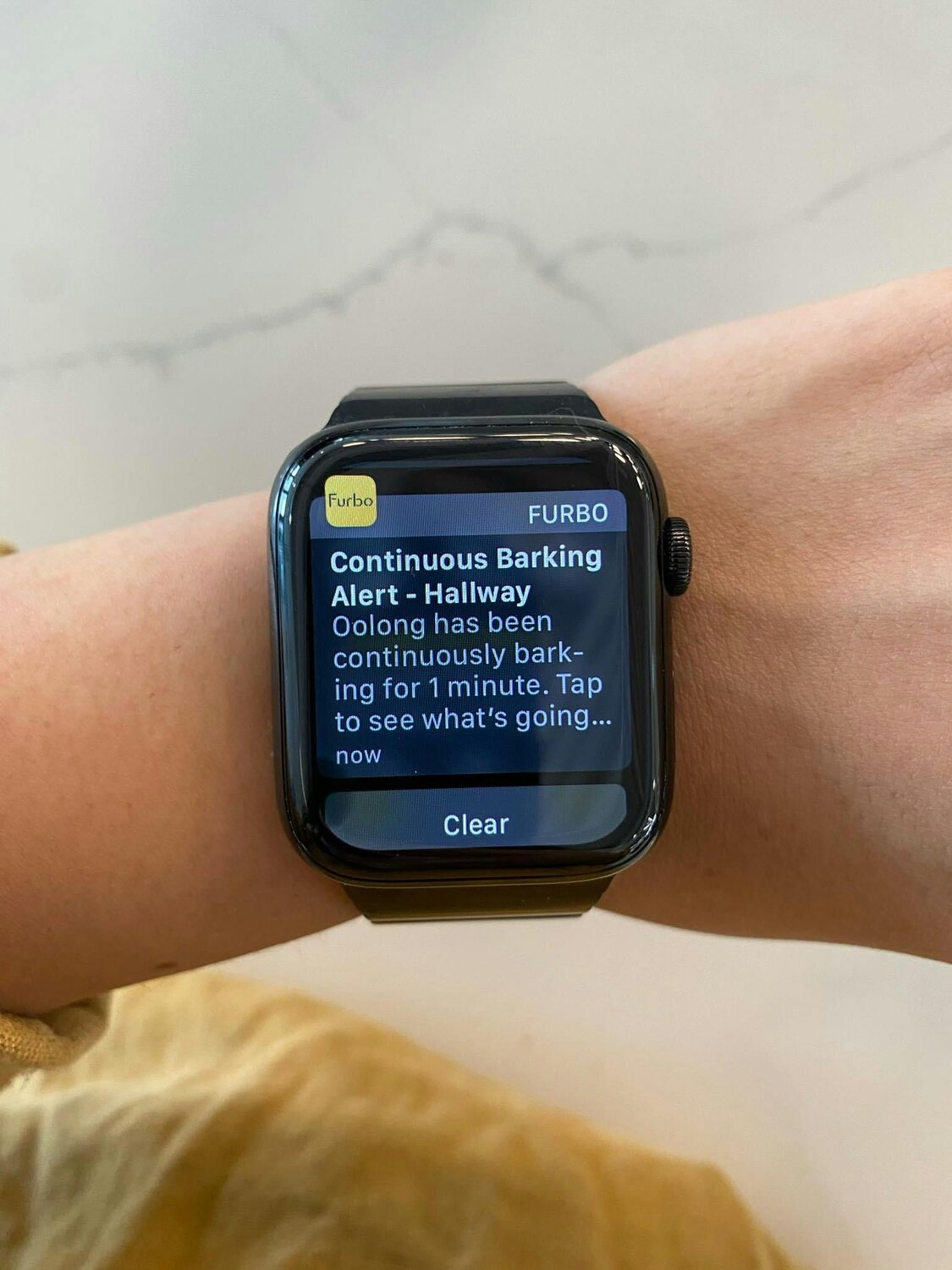 Apple watch displaying continuous barking alert