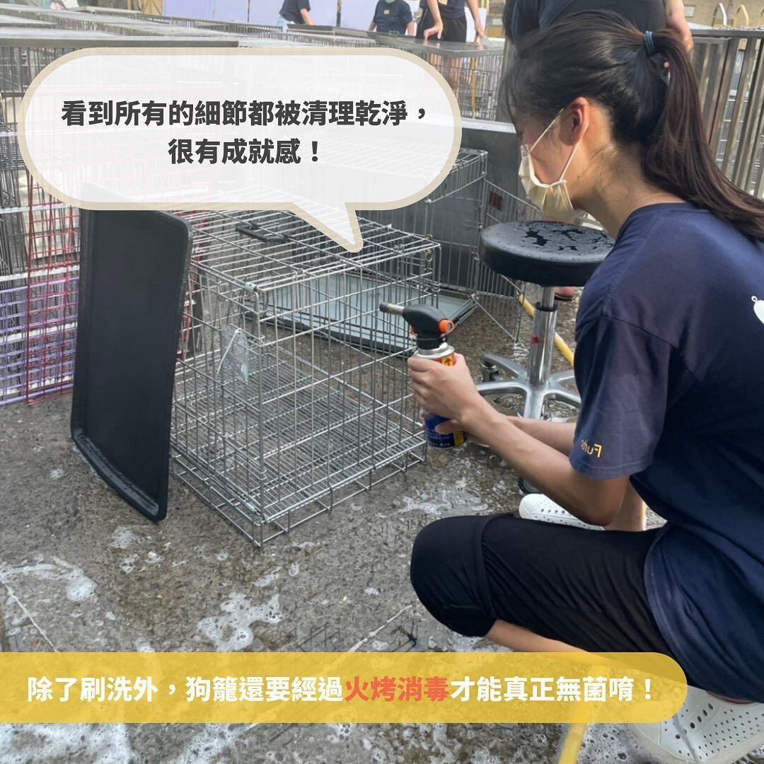 志工清理狗籠