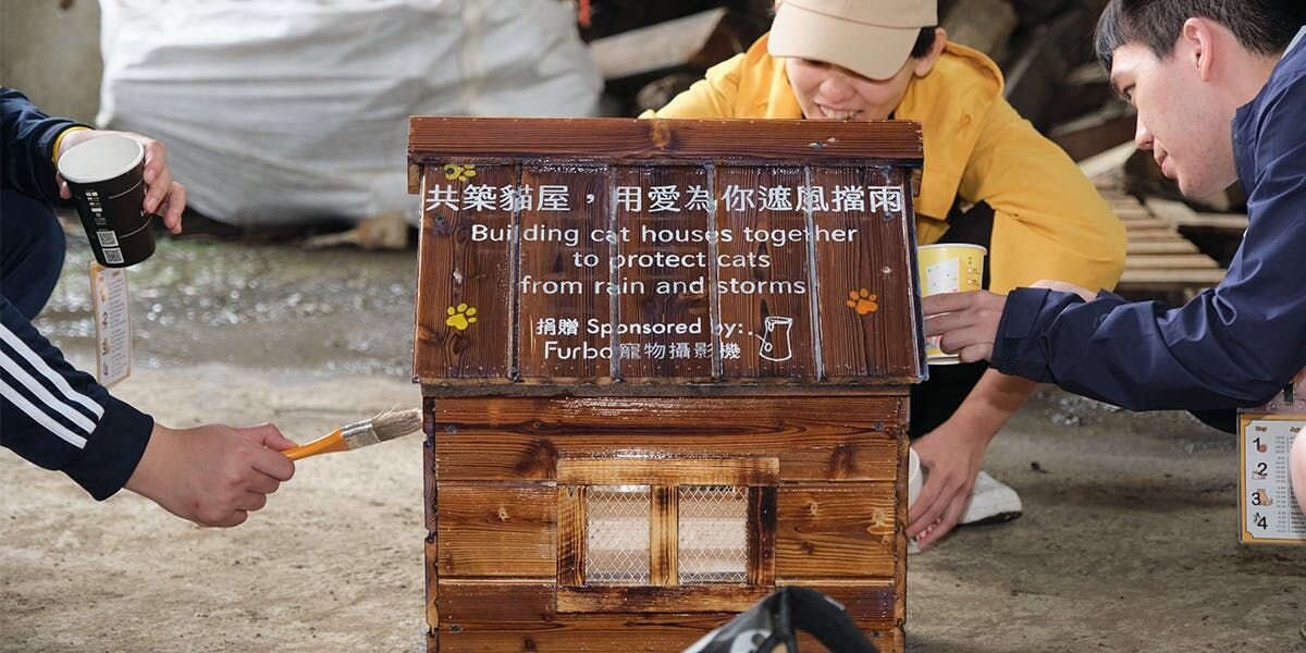Three Furbo For Good Volunteers building a cat shelter
