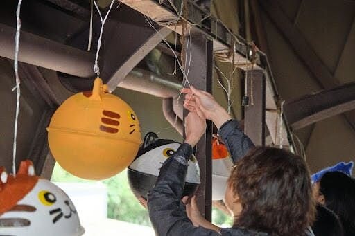 While the influence of a single individual may be limited, the collective strength of many can be formidable. Furbo For Good will continue to aid s...