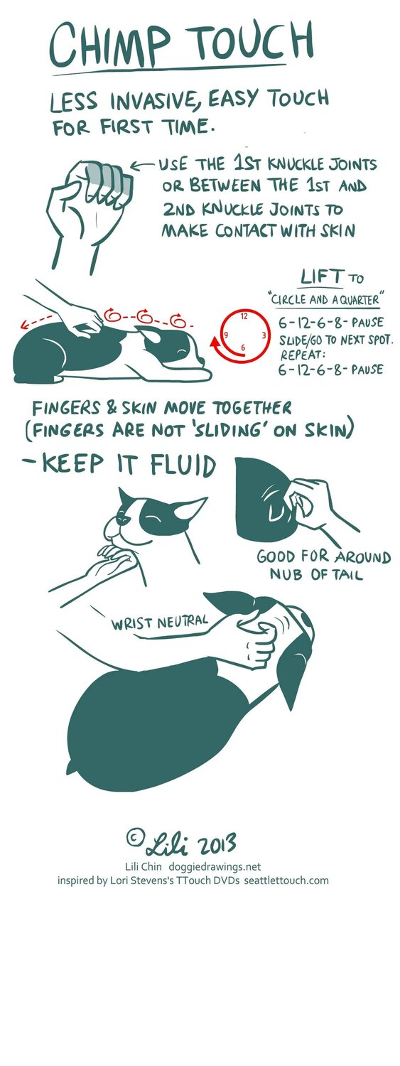 Feel free to freestyle your massage based on whatever works for you and your pup, while incorporating soft strokes with flat palms. Start from the ...