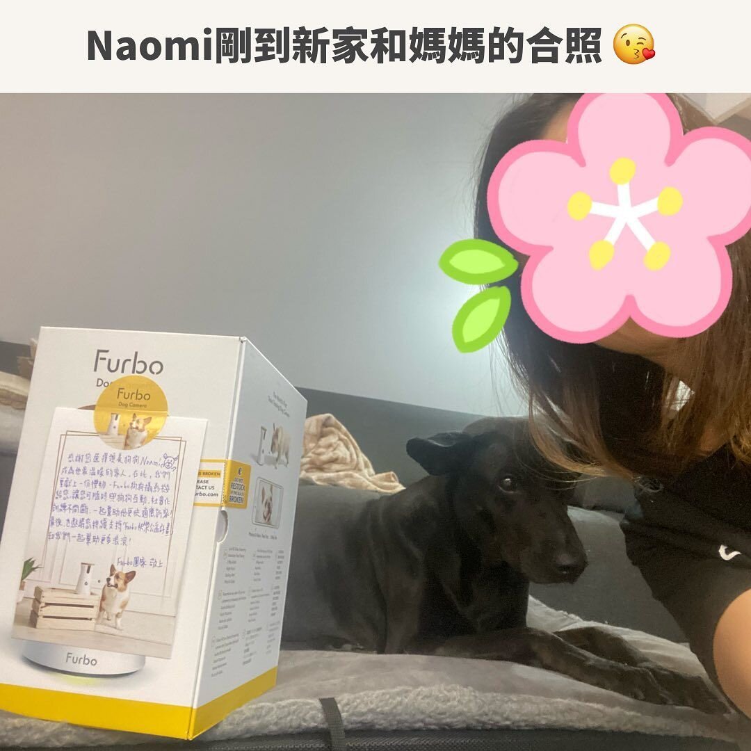 媽媽透過Furbo可以看得到Naomi在家的狀況，讓在外工作的媽媽格外安心！