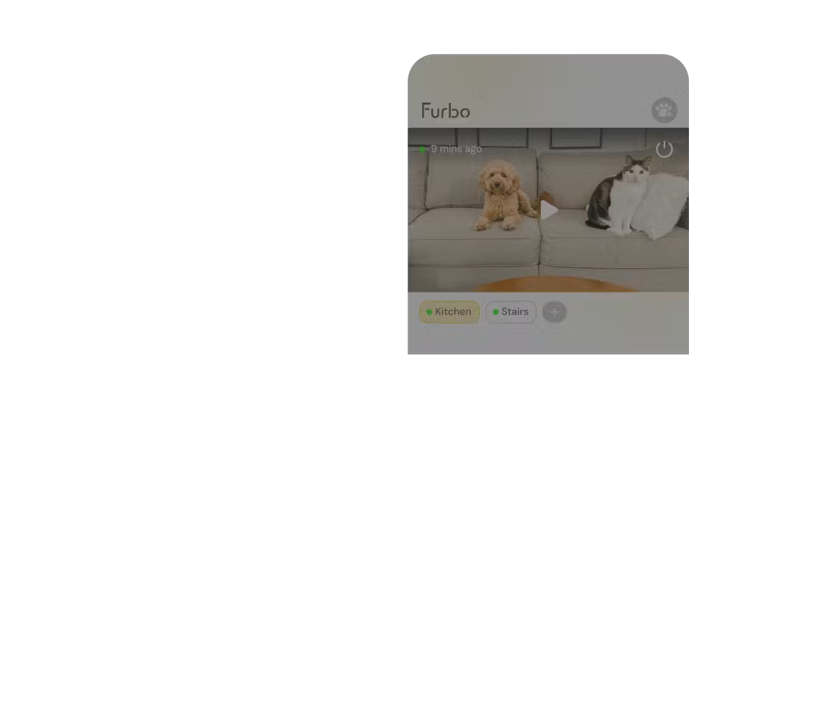 Live view 