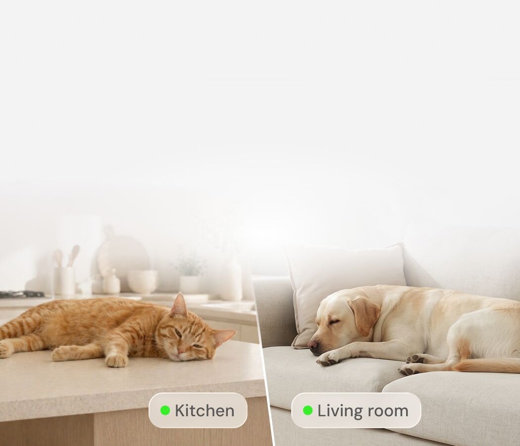A split-screen view showing an orange cat napping on a kitchen counter next to a Furbo 360° Cat Camera, and a yellow labrador sleeping on a light-colored sofa in the living room.