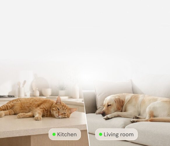 A split-screen view showing an orange cat napping on a kitchen counter next to a Furbo 360° Cat Camera, and a yellow labrador sleeping on a light-colored sofa in the living room.