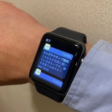 とーさんはApple Watch愛用なのですが、もちろんFurboアプリはApple Watchに連動しているので、ピローンという合図とともに時計にセルフィー写真が届いたりするんですよ。その不意打ち感たるや！！