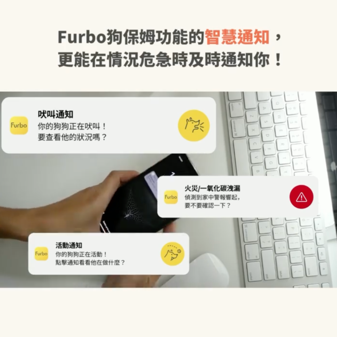Furbo智慧通知