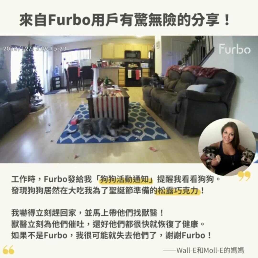 Furbo真實案例