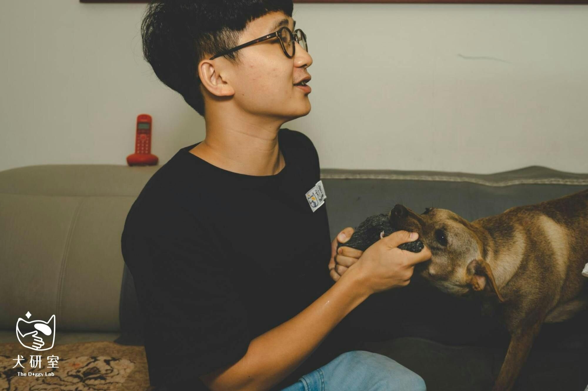 狗狗跟飼主在玩玩具