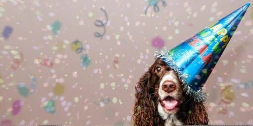 10 Ways to Show Love to Your Dog on National Pet Day