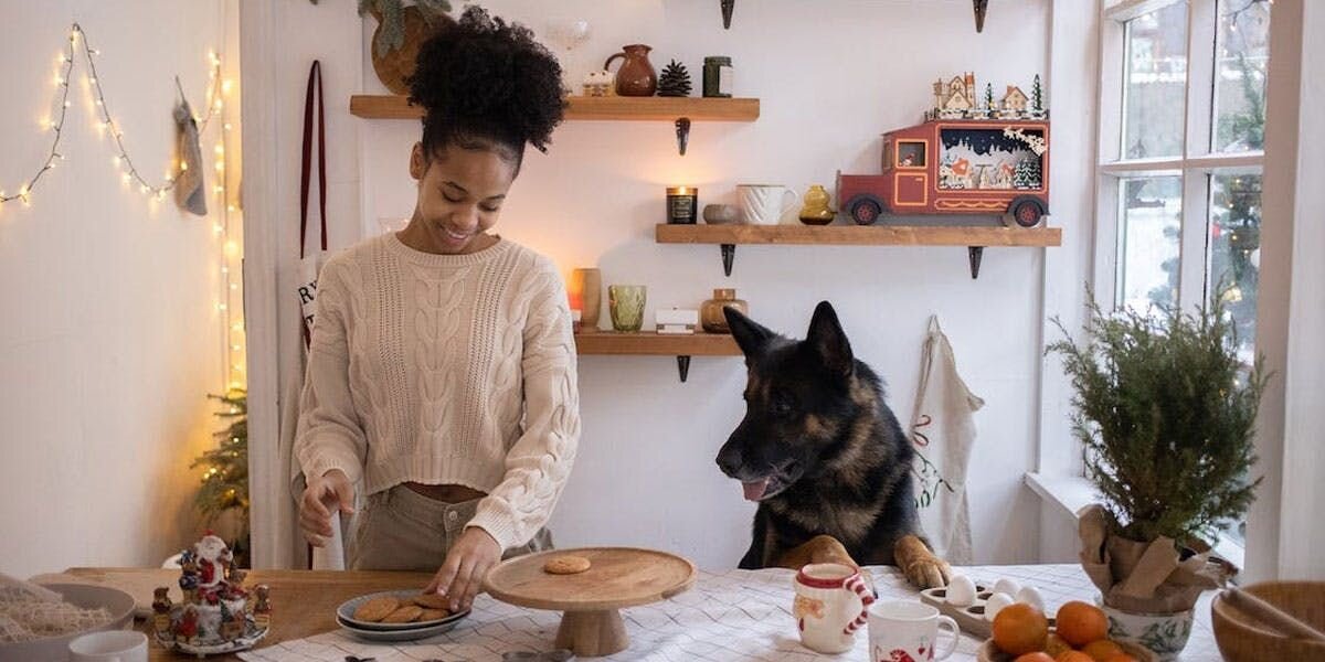 A photo of a German shepherd watching a woman prepare cookies, in a kitchen with Christmas decorations
