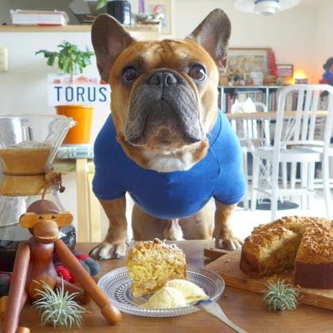 他にアカウントもないので、トーラスがいたから始めたっていう感じです。自分で作ったスイーツとか載せたりしますけどね、あとは行った場所とか。でもやっぱり主にトーラスですね。」