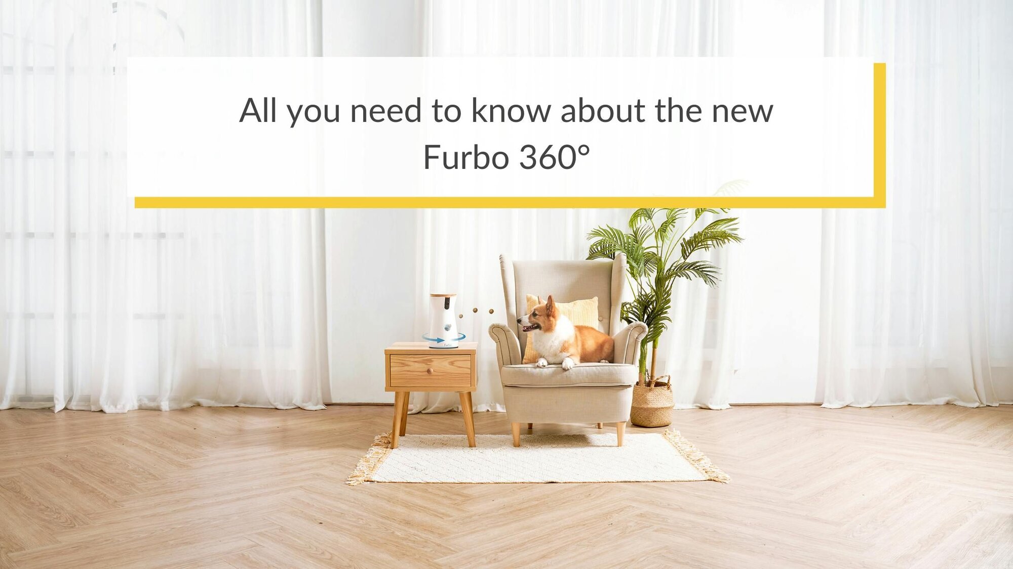 All you need to know about the new Furbo 360°