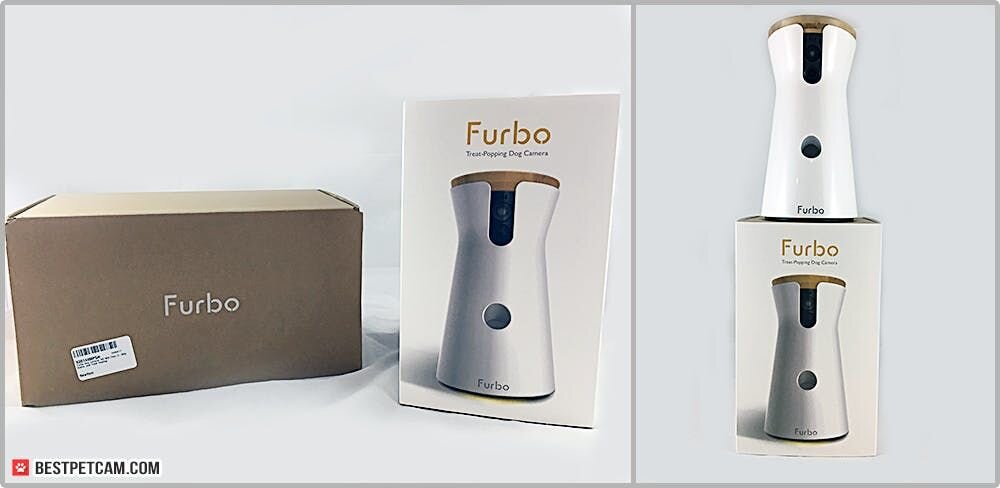 Best Pet Cam: Furbo Dog Camera Review: Ultimate Treat Launcher